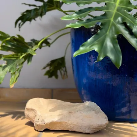 House Boho Palm With Private Heated Pool And Garden, 3 Bedrooms, Wi-fi Βίλα *