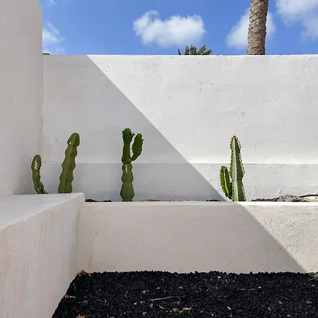 House Boho Palm With Private Heated Pool And Garden, 3 Bedrooms, Wi-fi *