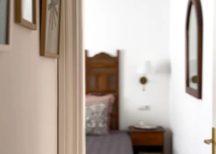 House Boho Palm With Private Heated Pool And Garden, 3 Bedrooms, Wi-fi