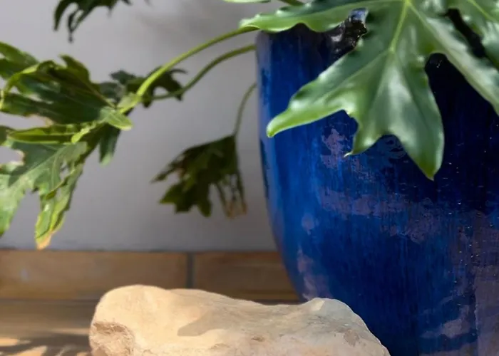 House Boho Palm With Private Heated Pool And Garden, 3 Bedrooms, Wi-fi Вилла *