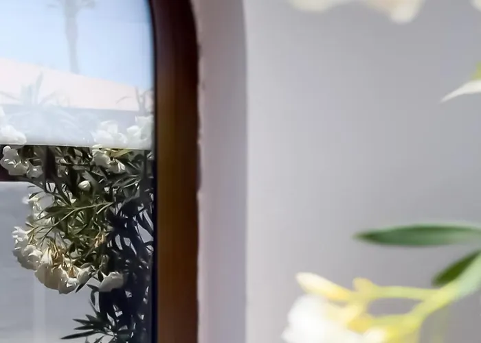 House Boho Palm With Private Heated Pool And Garden, 3 Bedrooms, Wi-fi Вилла Коральео