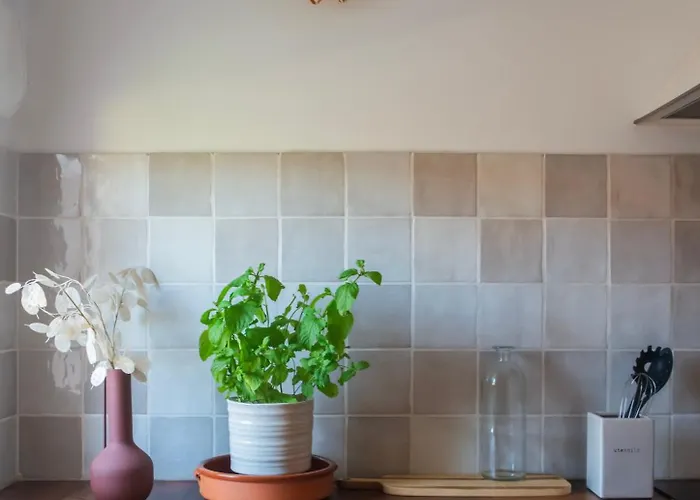 House Boho Palm With Private Heated Pool And Garden, 3 Bedrooms, Wi-fi Коральео