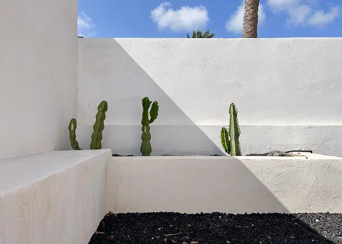 House Boho Palm With Private Heated Pool And Garden, 3 Bedrooms, Wi-fi *